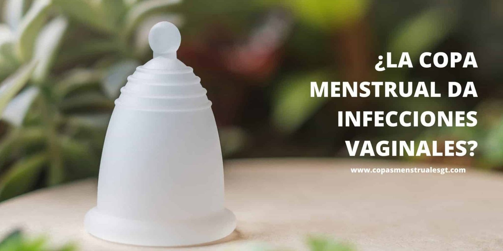 ¿La copa menstrual da infecciones vaginales?